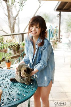 灰姑娘与四骑士